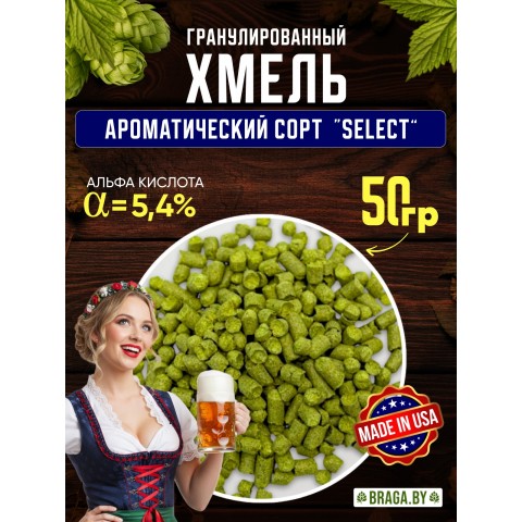 Хмель BRAGA.BY Spatler Select (Германия) 50 гр Хмель BRAGA.BY Spatler Select (Германия) 50 гр